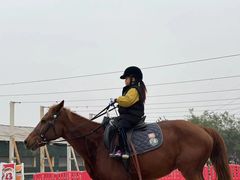 -北京群众马术培训基地