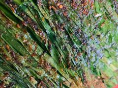 -清真磊磊烧烤老店(饮虎池街34号店)