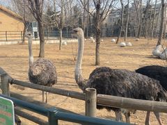 -大连森林动物园