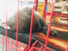 -第三空间·趣味桌游·轰趴.室内CS.剧本杀(大武汉1911店)