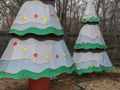 -南宫五洲植物乐园