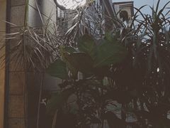 -花十悦·鲜花咖啡餐厅(振业城一期店)