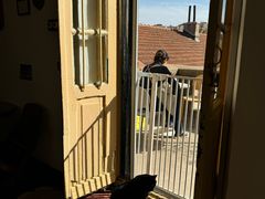 -春风十里咖啡馆