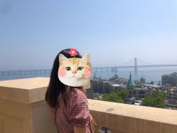 -大连城堡豪华精选酒店·宴会厅