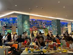 -帝企鹅自助餐厅•儿童岛•真企鹅(长隆企鹅酒店)