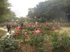 -人民公园(罗湖区)