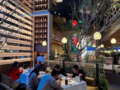 -桂满陇·海市蜃楼·黑金(国金店)