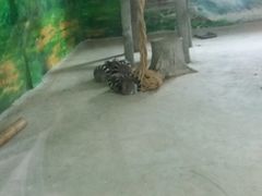 -临沂动植物园