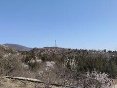 -白水寺森林公园