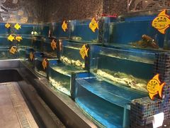 -阿里郎海鲜酒店