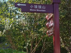 -佛慧山