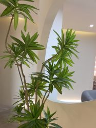 -VE专注问题肌·赛诺龙&科学美肤中心