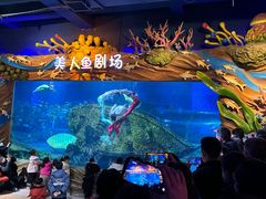 -太奥幻太奇海洋馆