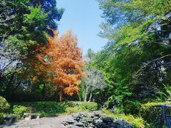 -深圳国际园林花卉博览园