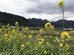 -泽雅七瀑涧景区