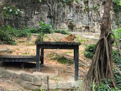 -广州长隆野生动物世界