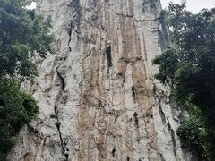 -三峡人家风景区
