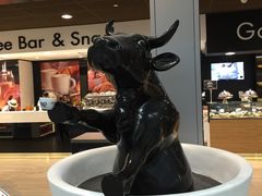 -米兰马尔彭萨国际机场