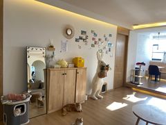 -猫腻·猫咖·撸猫馆(星光大道店)
