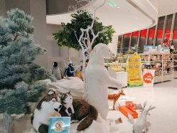 -IMON·HANSA潮玩玩偶毛绒玩具(通州万象汇店)