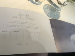 -BLACKSWAN黑天鹅(环球店)