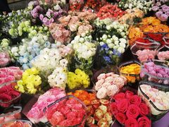 -宝鸡东道花鸟鱼虫市场(吉利花园商场店)