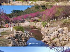 -福清灵石山国家森林公园