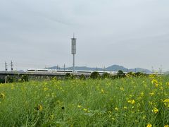 -光明小镇欢乐田园