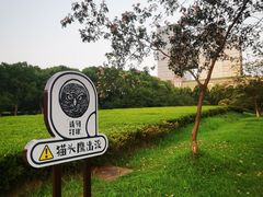 -南京奥林匹克体育中心