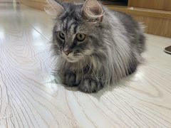 -猫和宫(六道口店)
