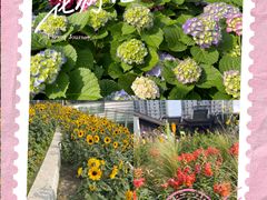 -七宝老街-闵行市民文化广场