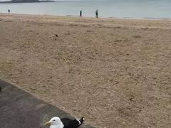 -Movenpick Newmarket