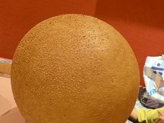 光头司令大麻圆-杨记隆府重庆江湖菜(大悦城店)