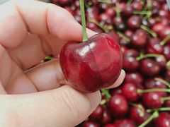-盒马鲜生(联投广场店)