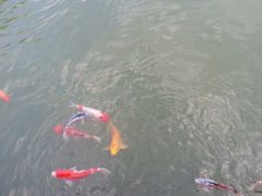 景观位-杭州西子湖四季酒店·金沙厅