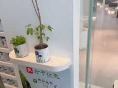 -大树餐厅(环球港店)