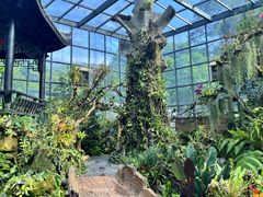 -东莞植物园