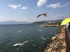 -抚仙湖禄充风景区