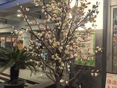 -汤连得温泉馆(宝山店)