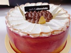 树莓红宝石巧克力蛋糕-Awfully Chocolate(来福士广场店)