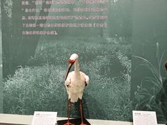 -河北博物院