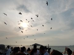 -海驴岛(荣成市)