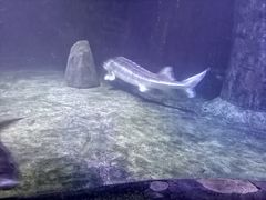 -左海海底世界