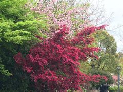 -杭州城北体育公园