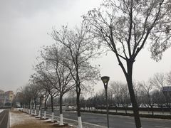 -青岛海泉湾度假区温泉