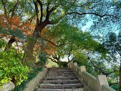 -鼓楼(西湖风景名胜区)
