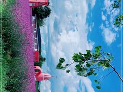 -名花谷生态庄园