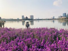 -顺峰山公园