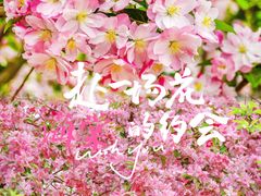 -海棠花溪(元大都城垣遗址公园)