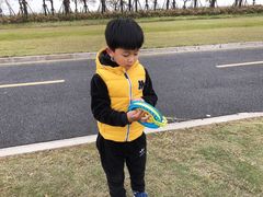 -春花秋色城市公园